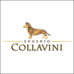 collavini-logo